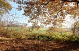 V029-2023_Ausblick-Osten