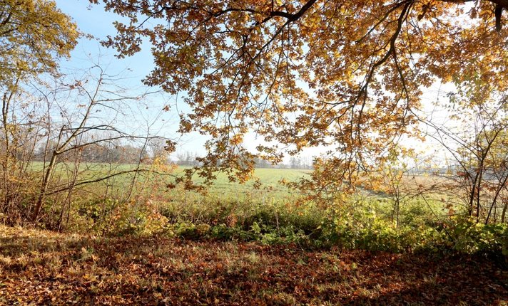 V029-2023_Ausblick-Osten