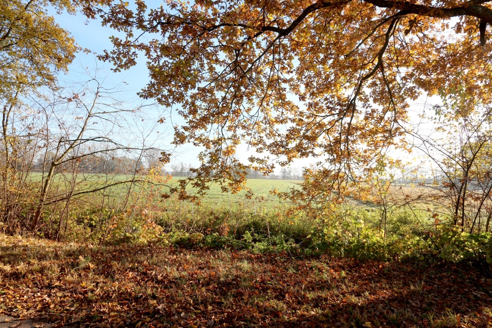 V029-2023_Ausblick-Osten