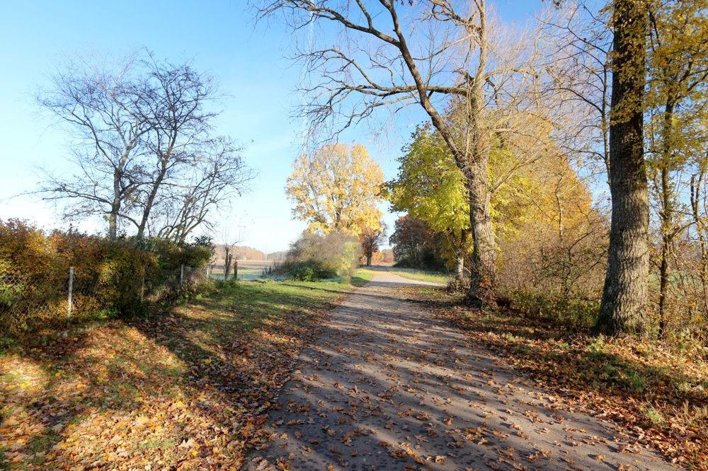 V029-2023_Baugrundstück_1.2